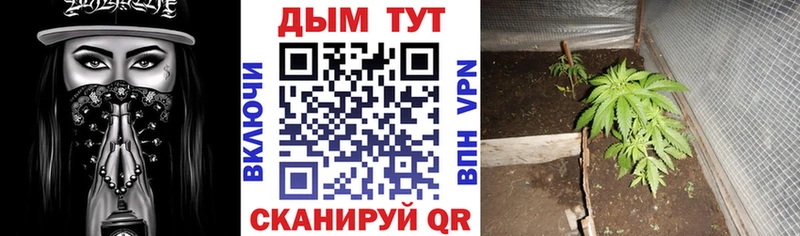 Наркота Советская Гавань Марихуана блэк спрут ссылки Alpha-PVP Гашиш Метадон COCAIN Меф