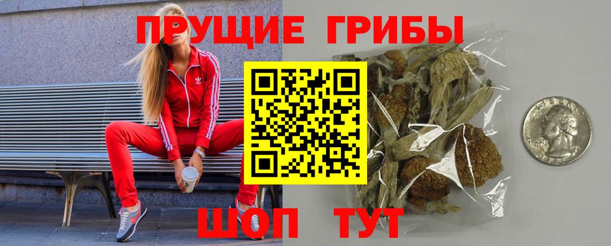 Псилоцибиновые грибы мухоморы Советская Гавань